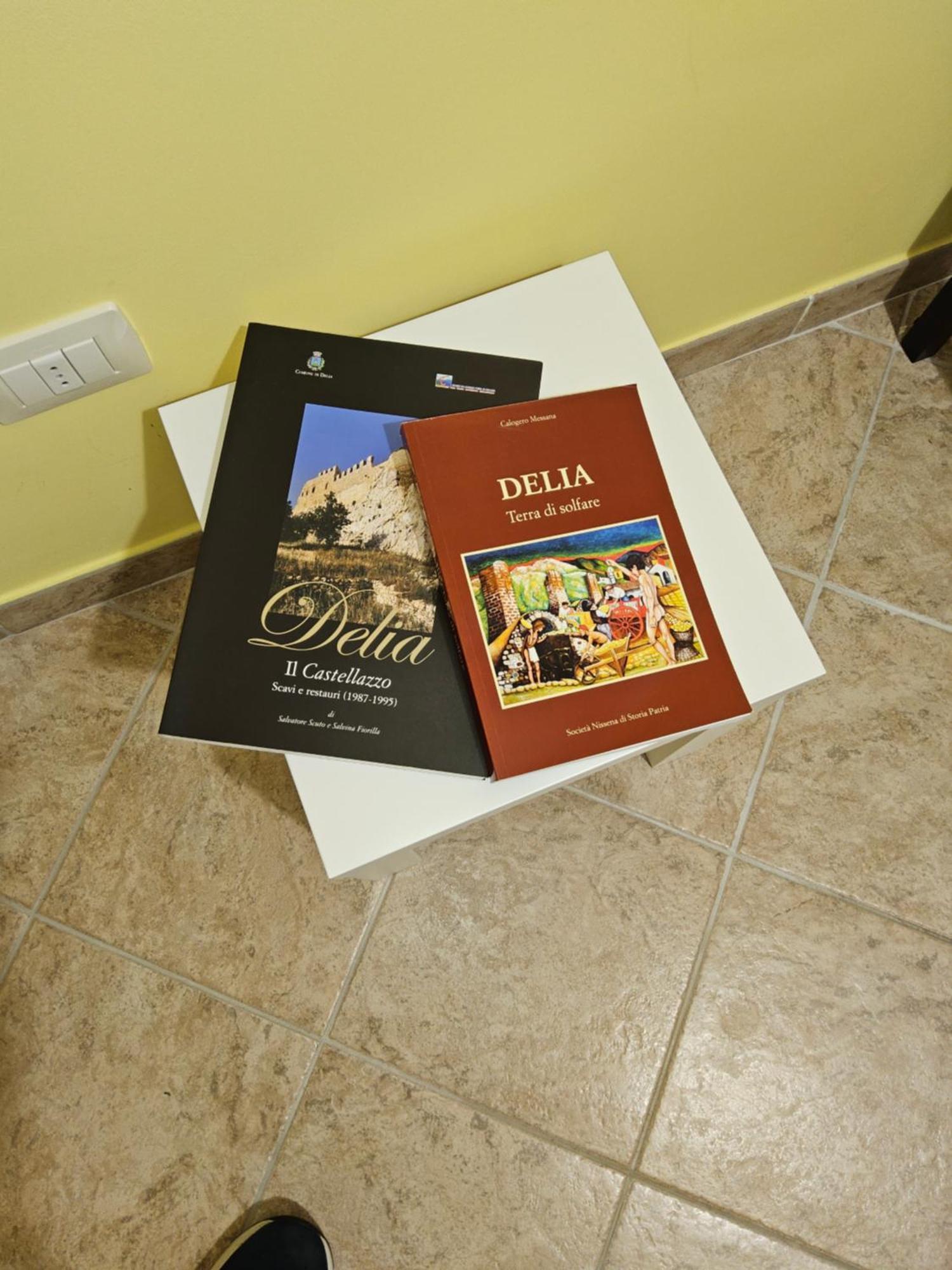 Al Cortile Del Pozzo Apartment Delia Ngoại thất bức ảnh